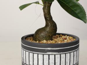 ต้นส้มแมนดารินขนาดเล็กต้นไม้ส้มประดิษฐ์พลาสติกต้นส้มสำหรับตกแต่ง - Product Image 2