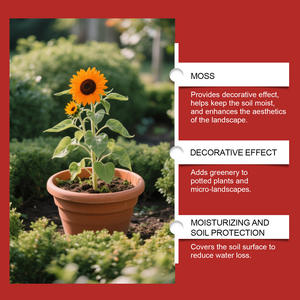 MOONSPRY สารปรับสภาพดิน DIY - Product Image 2