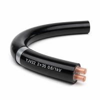 Câble d'alimentation blindé YJV22 2 conducteurs 35mm² 0,6/1kV, câble de distribution souterrain basse tension 2*35