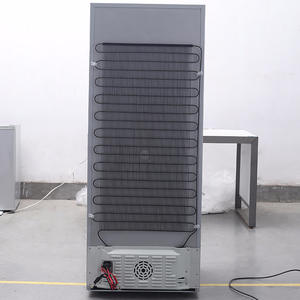 Refrigerador Solar BCD-215, Refrigerador y <span class=keywords><strong>Congelador</strong></span> Solar de Gran Capacidad de 215L, DC12V 24V - Product Image 4