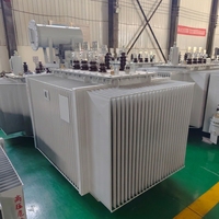 Transformador Sumergido en Aceite de Bajo Ruido y Funcionamiento Estable, 10kV a 380V, Trifásico, para Distribución de Energía en Edificios Comerciales