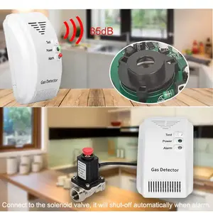 Détecteur de fuite de gaz de sécurité domestique pour voiture RV Détecteur de gaz Wifi Détecteur de fuite de gaz avec application - Product Image 2