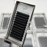Extensions de cils 6D 8D Smart Bloom, volume B C D, 8-15mm, pour éventail rapide, avec plateaux de pose