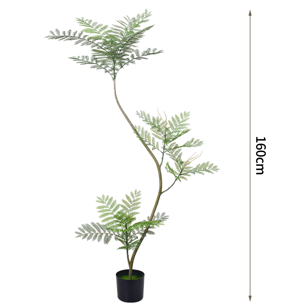 โมเดล tree160cm จาคารันดา