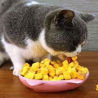 Friandises lyophilisées pour chiens et chats avec jaunes d'œufs, riches en viande et en lécithine, protéines de haute qualité, renforcent l'immunité, vente en gros OEM 1kg