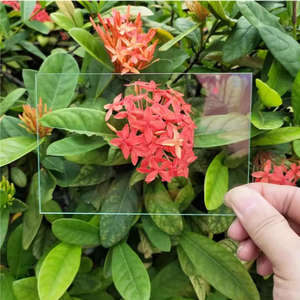 <span class=keywords><strong>Verre</strong></span> <span class=keywords><strong>anti</strong></span>-<span class=keywords><strong>reflet</strong></span> de qualité supérieure 2 mm (<span class=keywords><strong>verre</strong></span> AR) pour <span class=keywords><strong>cadre</strong></span> <span class=keywords><strong>photo</strong></span> - Product Image 1