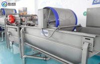 Industriële appel-, groente- en fruitwasserinstallatie, fruitborstelwasapparatuur voor het reinigen van uien