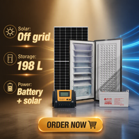 Machine à glaçons solaire Tunto 24V198L DC, congélateur vertical BD-198, classe d'efficacité énergétique 2, usage commercial, garantie 1 an