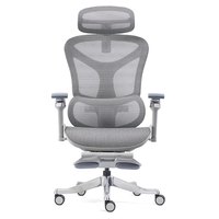Chaise de bureau ergonomique Z-E2408HG entièrement en maille, chaise de direction moderne en tissu, accoudoirs réglables 6D, appuie-tête réglable 4D