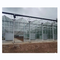Serre Agricole Intelligente Grand Système Hydroponique en Verre Trempé Multi-Span de Type Venlo