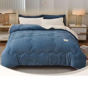 <span class=keywords><strong>Precio</strong></span> al por mayor Color sólido Otoño Invierno edredón de doble cara edredón grueso cálido edredón núcleo leche polar <span class=keywords><strong>Cordero</strong></span> edredón de lana - Product Image 6