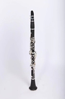 Professional High Quality B flat Good Price Bakelite Nickel Plated 17-Key Bb Clarinet