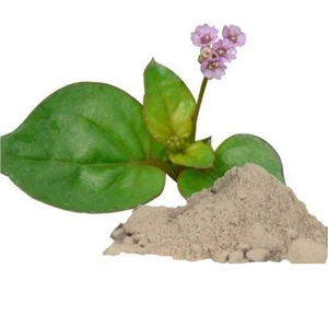 Extracto de planta entera de Punarnava en polvo cultivado salvaje Boerhavia diffusa suplemento de hierbas para alimentos saludables envasados en bolsa - Product Image 1