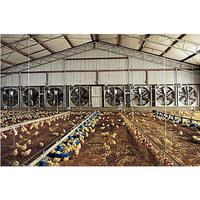 Structure légère en acier préfabriquée pour poulailler, cage à poules pondeuses, ferme avicole