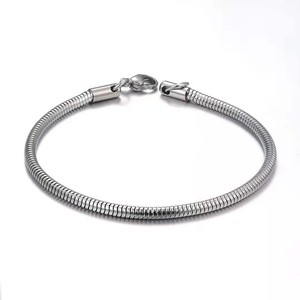 Pulsera de Cadena de Serpiente Redonda de Acero Inoxidable para Mujer |   Diseño Simple y Pulido |   Cierre de Langosta |   Estilo INS de moda que no pasa de moda - Product Image 1