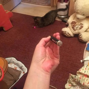 Pointeur laser et lampe torche LED pour animaux de compagnie - Jouet interactif pour chat, cadeau de Noël pour chats/chatons - Product Image 5