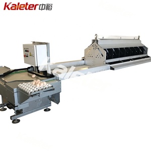 Otomatik tavuk yumurta toplama sistemi tavuk kümesi Metal yumurta toplama makinesi rulo yuva kutusu döşeme Pick up - Product Image 3