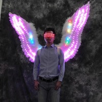 Ailes d'ange pour la danse sur scène, accessoires d'ailes de papillon pour adultes, pour se déguiser et créer une ambiance de bar