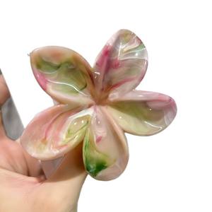 مشبك شعر أنيق جديد لعام <span class=keywords><strong>2025</strong></span> بتصميم كرتوني متدرج اللون من الراتنج، مشبك شعر راقٍ للحفلات - Product Image 5