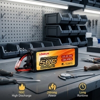 Paket Baterai Lithium Polymer LiPo LongKun 6S 23.1V 8000mAh 50C High Discharge untuk RC UAV Drone OEM/ODM