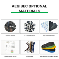 AEGISEC Nouvelle Arrivée Bottes Tactiques de Sécurité Personnalisées Bottes Tactiques Extérieures Antidérapantes Résistantes aux Perforations Sécurité