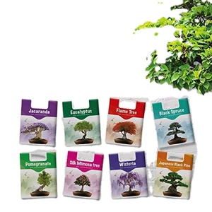 ชุดปลูกต้นบอนไซขนาดเล็ก8ต้นมีตราสินค้าสำหรับสวนของขวัญคริสต์มาส - Product Image 1