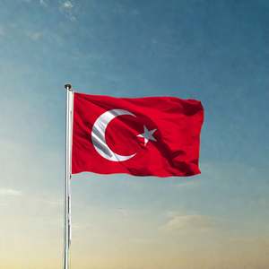 2026 Eventos deportivos 90x150cm Bandera Nacional Turca Venta al por mayor Poliéster Bandera de Turquía - Product Image 5