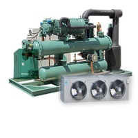 Unité de condensation à piston efficace, stable et économe en énergie pour congélateurs de chambre froide, idéale pour les commandes en gros et en vrac. Unidad Condensadora