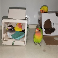 Boîte de reproduction pour oiseaux réutilisable en plastique avec coussin de nidification, maison de couvaison sécurisée pour perroquet, canari, pinson, toutes saisons
