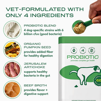 Poudre de Probiotiques pour Chiens – Haute Teneur en Protéines – Toutes Races – Compléments Santé – Marque Blanche – Formule Spéciale pour Soutenir la Santé