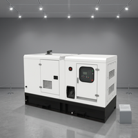 Générateur diesel silencieux monophasé 50/60Hz avec option ATS et options insonorisées