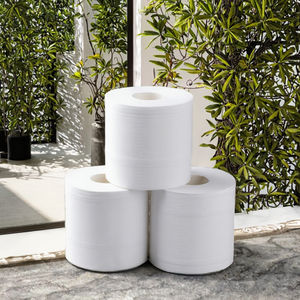 Papier toilette biodégradable ultra-absorbant 100% naturel en pulpe de bambou, marque personnalisée, OEM, rouleau standard jetable 2-4 plis - Product Image 3
