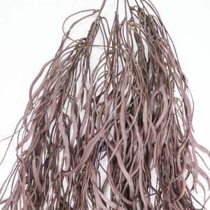 120cm de largo colgante de algas artificiales para decoración de pared colgante de algas de imitación - Product Image 3