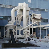 Broyeur Raymond à attapulgit de haute efficacité et à économie d'énergie, machine de fabrication de poudre 40-500 mesh pour la craie, la dolomite, la calcite, le CaCO3
