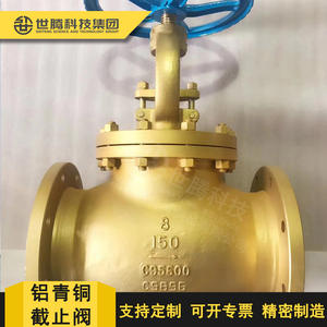 Vanne à boisseau en alliage de bronze d'aluminium C95800, norme américaine, résistante à la corrosion, J41-150LB, résistante aux acides/aux alcalis (C63200) - Product Image 5