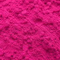 Natuurlijk Drakenvruchtenpoeder FVP-33 Rood Pitaya Poeder Halal Gecertificeerd Supplement 100% Wateroplosbaar Plastic Verpakking