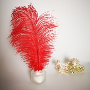 Bán buôn Chất lượng cao chùm 15-80cm nhuộm lông đà điểu cho đám cưới/DIY làm/lễ hội/lễ hội/Mũ/trang trí nội thất - Product Image 5