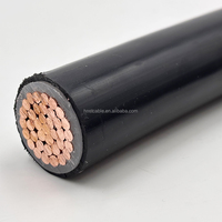 Cable Subterráneo de Cobre Termoplástico de 2kV Tipo TTU 500MCM