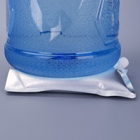 Pochette à bec verseur biodégradable de 250 ml en aluminium pour liquides, format vertical, de qualité supérieure, fabriquée en Chine