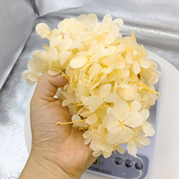 Natuurlijk geconserveerde houten hortensia's 10g doosje Echte gedroogde bloemen voor bruiloftsdecoraties, huisdecoratie, DIY bloemkunst