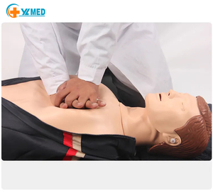 Modelo de Treinamento em Ressuscitação Cardiopulmonar de Corpo Inteiro para Emergências em Ciências Médicas: Estrutura do Sistema Respiratório para Laboratório - Product Image 2
