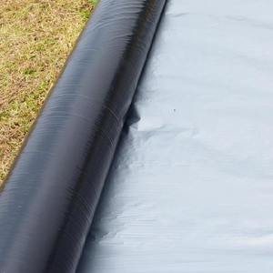 Film de paillage de serre de moulage par soufflage de PE réfléchissant noir argenté protecteur dégradable <span class=keywords><strong>pour</strong></span> le plastique d'agriculture de fraises - Product Image 1