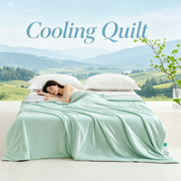 Couette Rafraîchissante d'Été en Gros, Lavable, Respirante, Couette Climatisation, Couverture en Soie Glacée Blanche, Emballage Personnalisé pour la Maison