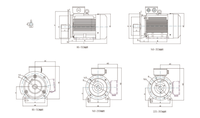 Moteur Asynchrone à Induction Triphasé Haute Qualité IEC 50/60 Hz 380 V CA Série IE3 3000 tr/min Nominal Montage sur Pattes 0,37 KW-315 KW