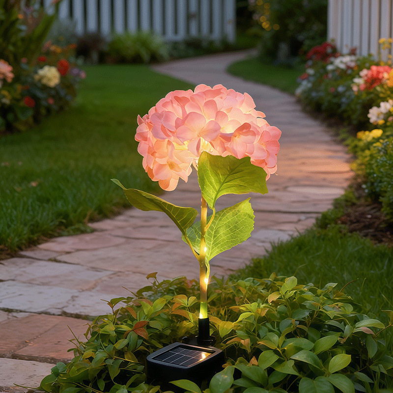 rose