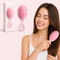 Peigne à cheveux miniature TL en gros, brosse à cheveux de poche de haute qualité pour enfants, pour démêler les cheveux humides et secs