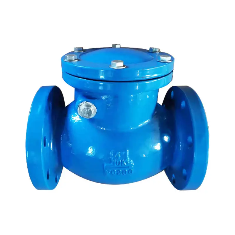 Custom Service Blue Electrostatic Spraying Surface Treatment Brass Sealing Swing non return valve H44X/H44T check valve