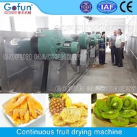 Gedroogde Appelmango Productielijn Gedehydrateerde Fruitdroogmachine Industrieel Fruit Dehydrator Groentedroogmachine Drogen
