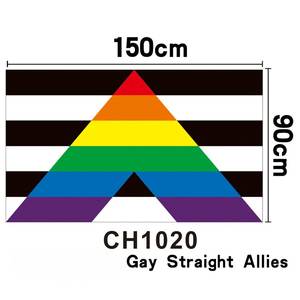 Bandera del Orgullo LGBTQ de 3x5 Pies, Estilo Gallardete, con Asta de Fibra de Vidrio, Lista para Enviar - Product Image 4