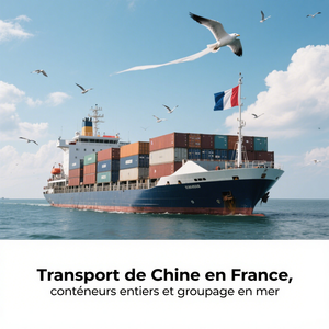 可靠的门到门海运服务FCL拼箱从深圳到尼斯戛纳法国货运供应商 - Product Image 2